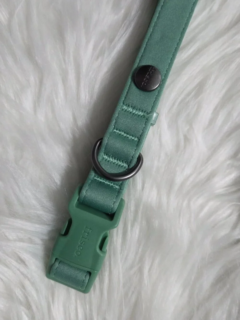 Frisco Monochromatic Green Dog Collar